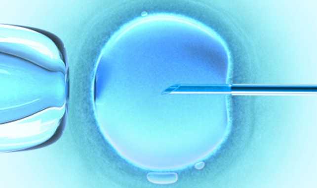 Fertilización asistida transferir un solo embrión Todo en un click