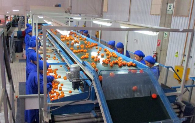 San Miguel finalizó el proceso de adquisición de una importante compañía frutícola peruana